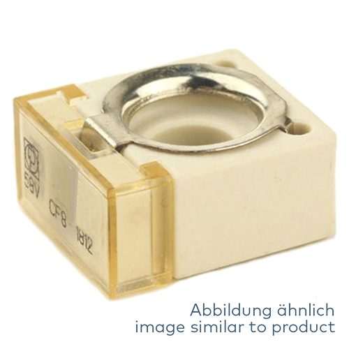 CF8 fuse 250A, 58V